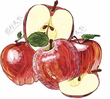 手绘苹果和果实切面透明装饰素材