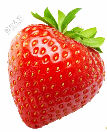 一粒新鲜的草莓透明装饰素材