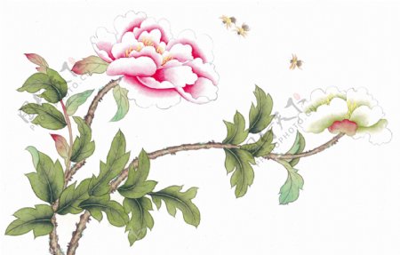 中式花鸟工笔画