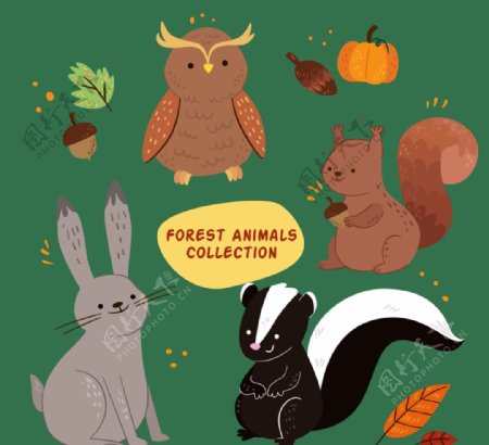 4款卡通森林动物矢量素材