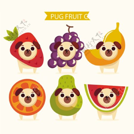 可爱的哈巴狗和水果