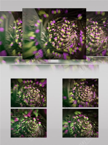 紫色激光花蕊动态视频素材