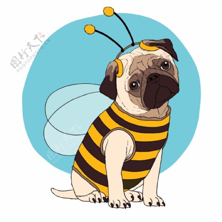 卡通蜜蜂装扮狗狗素材