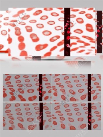 红色激光细胞动态视频素材