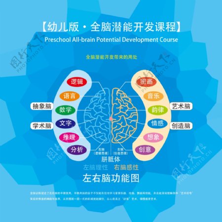 教育培训机构幼儿大脑思维开发展板画册2