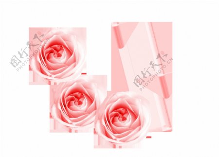 矢量手绘淡粉色玫瑰花元素