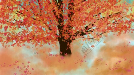 唯美秋季枫树叶背景素材