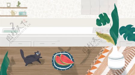 夏季家居厨房西瓜盆栽猫咪背景素材