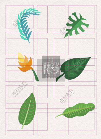 热带植物ai矢量手绘创意元素