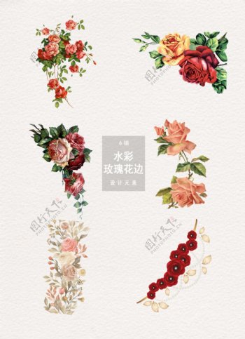 水彩玫瑰花装饰设计素材