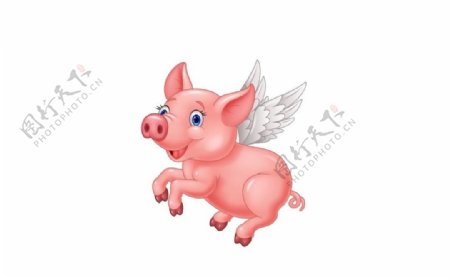 卡通可爱小猪天使
