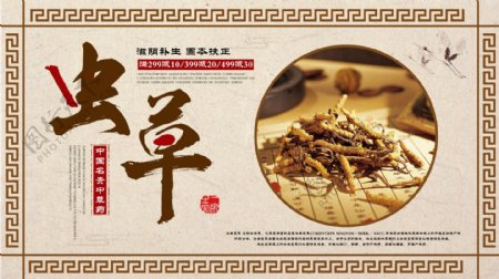 黄色简约中国风传统中药虫草促销展板