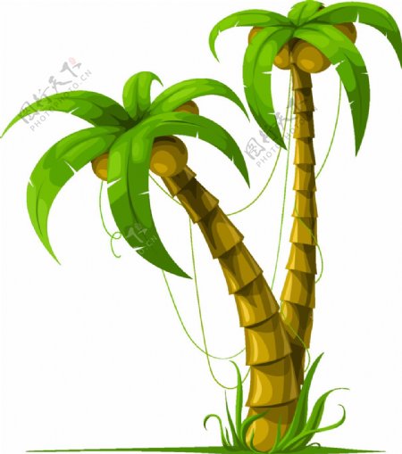 创意翠绿椰子树png元素