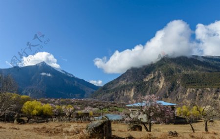 西藏林芝美景