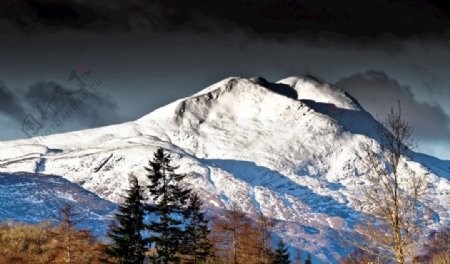 高山山峰雪山森林树林