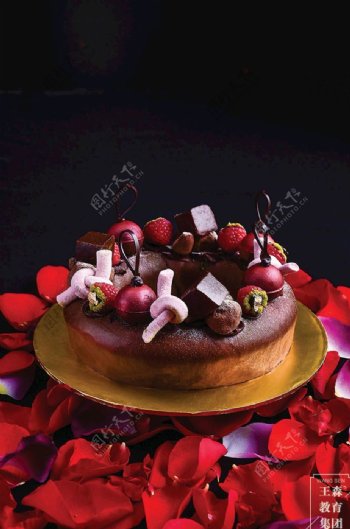 王森巧克力水果蛋糕