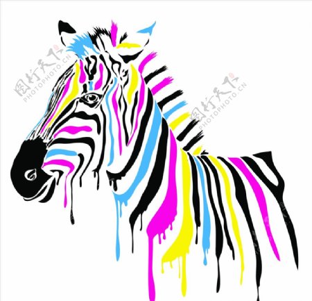 彩色绘画动物斑马