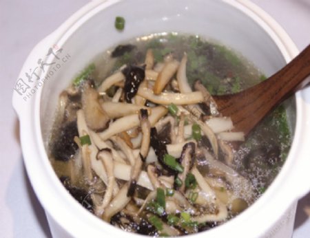 蘑菇菌汤