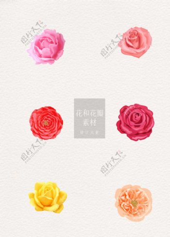 花朵水彩写实ai矢量元素花和花