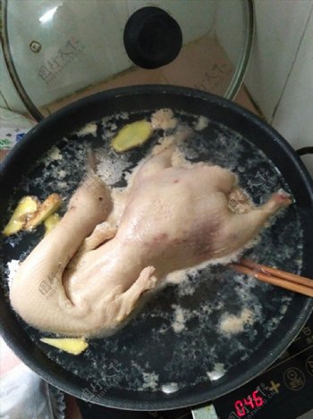 水煮鸭