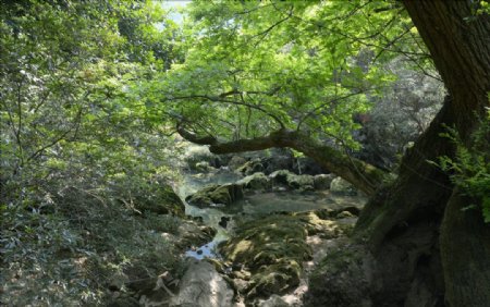 贵州黄果树瀑布公园
