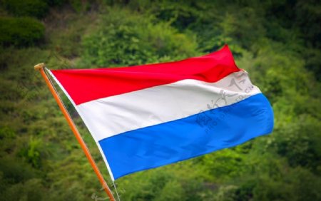 飘扬的荷兰国旗