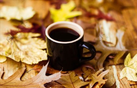 落叶和咖啡