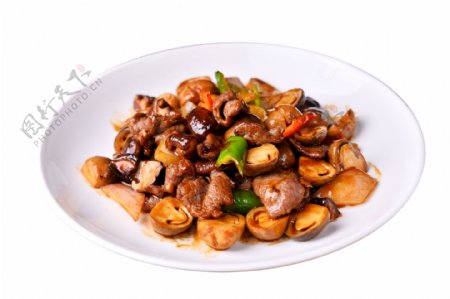 高清美食蚝油鲜冬菇炒牛肉菜式素