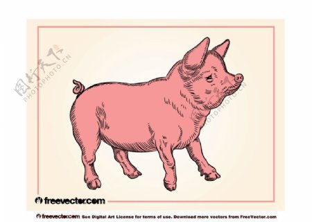 可爱卡通猪猪