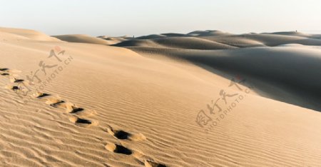沙漠腳印