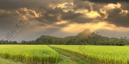 夕阳风景