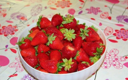 鲜红水果草莓