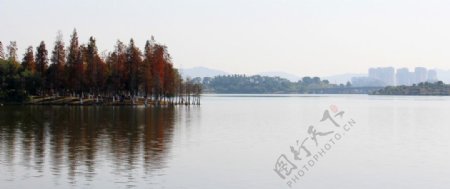 松山湖湖景