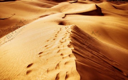 沙丘沙漠风景