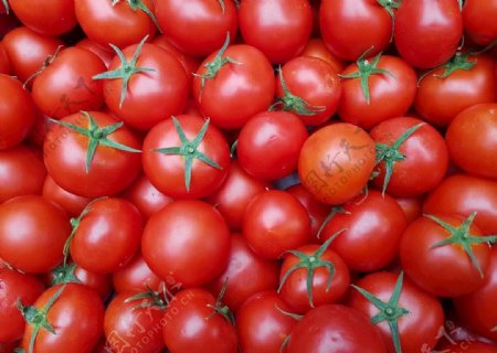 西红柿蔬菜背景