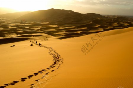 沙漠沙丘沙漠风景