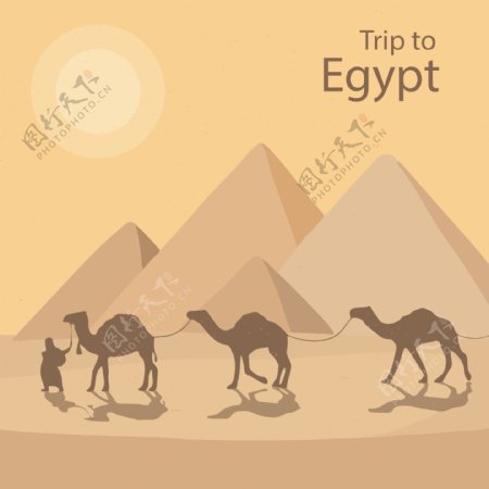 金字塔与骆驼