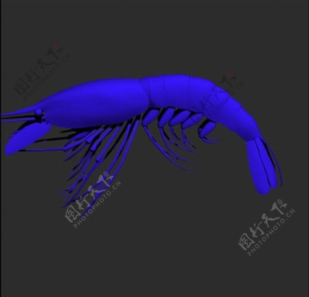 蓝精灵小虾模型