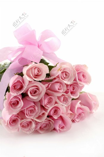 一束粉色的玫瑰花