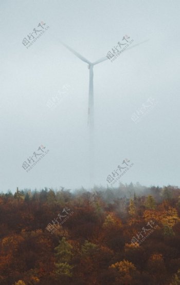 森林风景