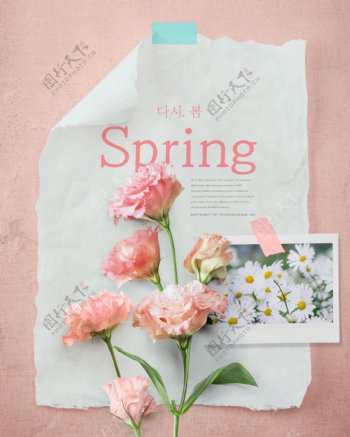 粉色康乃馨春季春天气息唯美海报psd模板