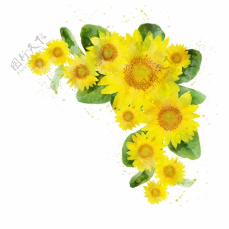 向日葵黄色花朵原创元素边框元素花边花框