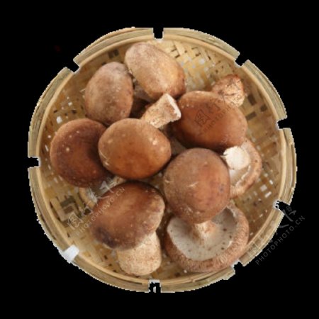 新鲜切片干菇png菌菇素材