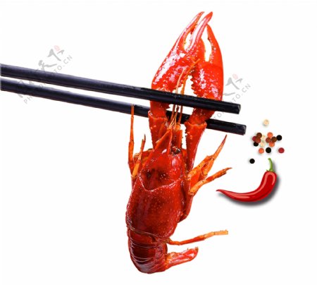 筷子夹着红色小龙虾元素