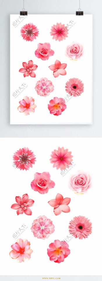手绘花朵花卉矢量装饰原创素材下载