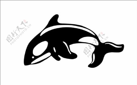 海豚轮廓图