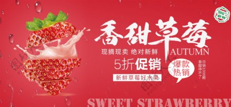 果蔬生鲜新鲜草莓纯色banner