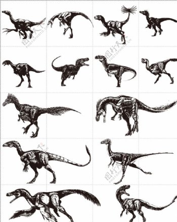 矢量卡通黑白恐龙集合