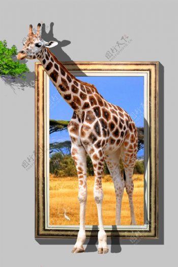 3D长颈鹿壁画