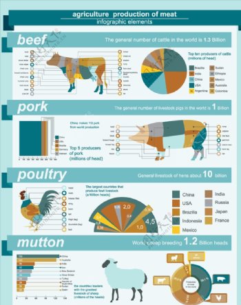 牛肉分区图